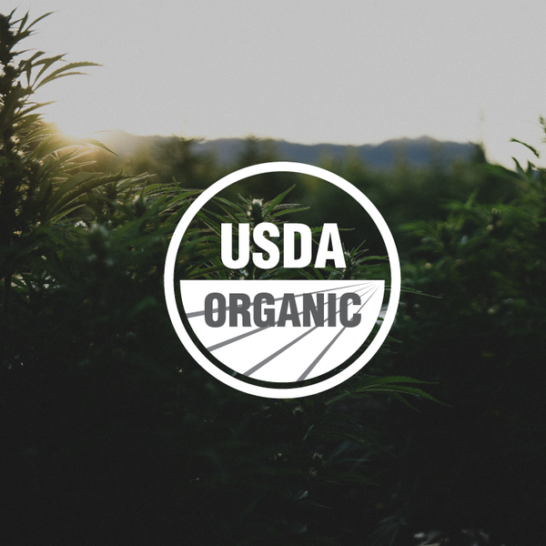 The Importance of Organic Certification